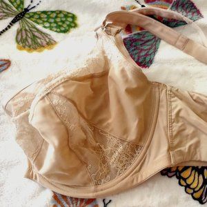 Sculptresse 42E peach Siren bra